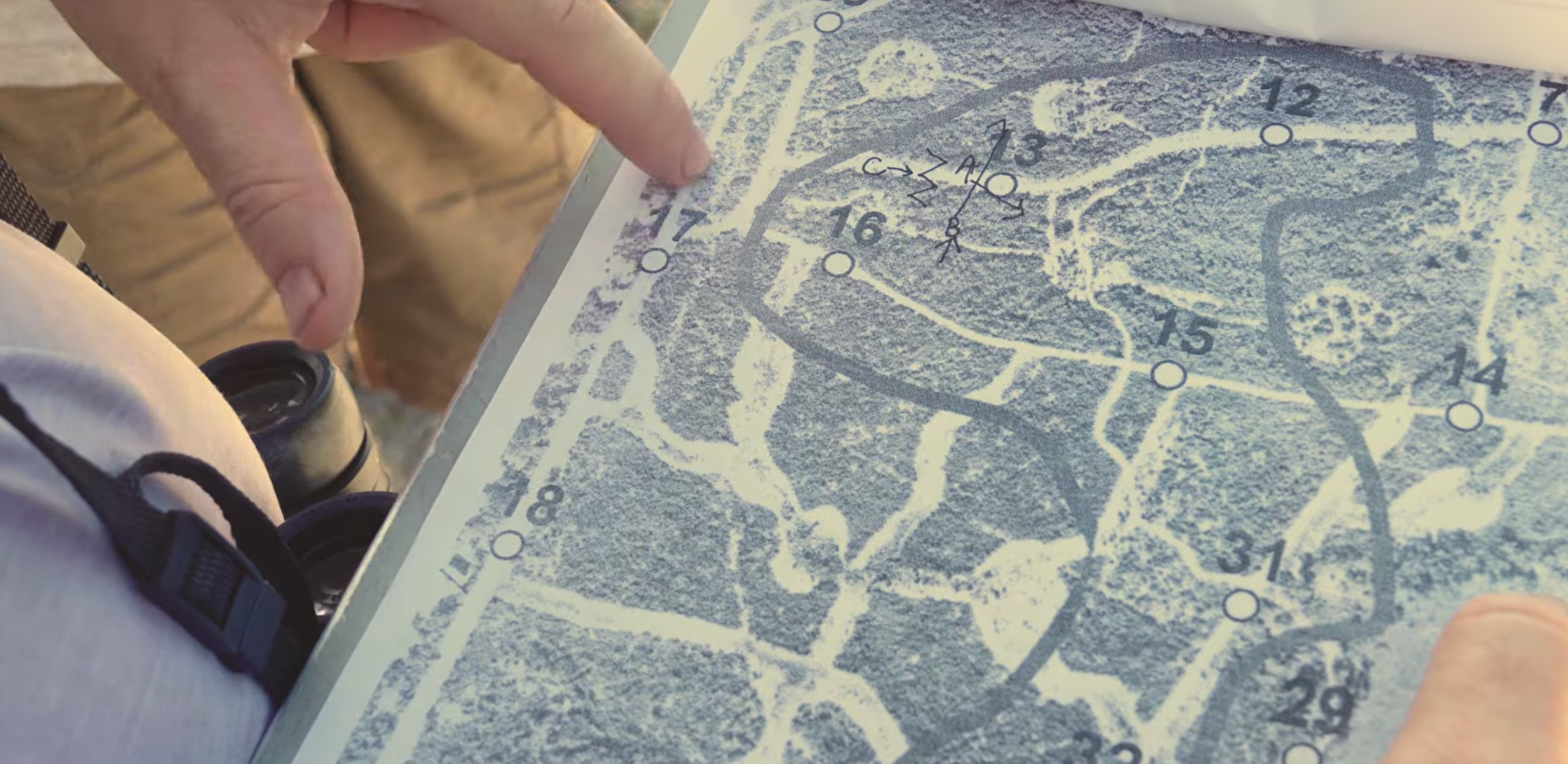 close up of a scrub-jay monitoring map